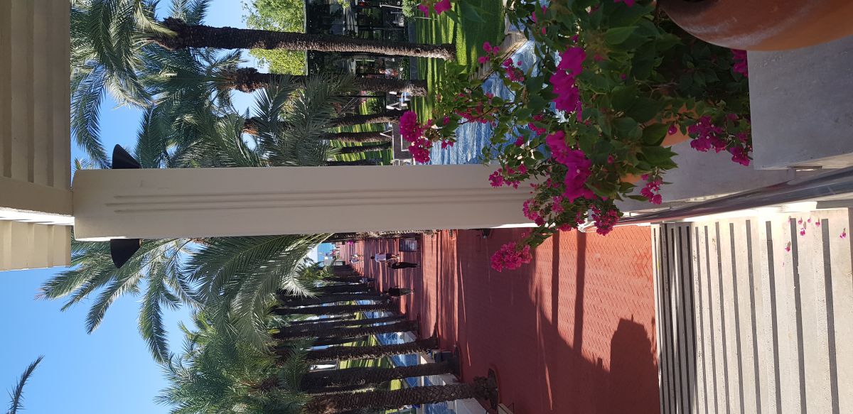 imagini hotel SEVEN SEAS BLUE SIDE